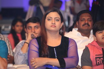 Dikkulu Choodaku Ramayya Movie Audio Launch